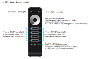 RS1 (2).png