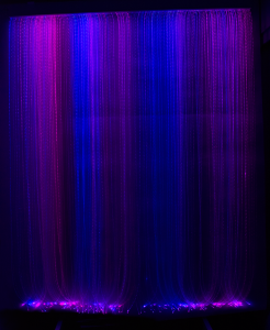 DSC_9651m.png