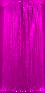 DSC_0492m.png