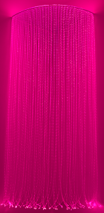 DSC_0498m.png