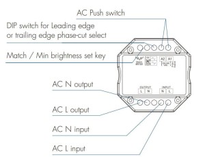 S1-B (WT) (3).gif