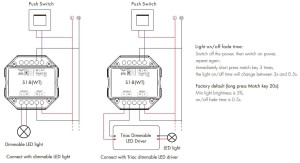 S1-B (WT) (7).gif