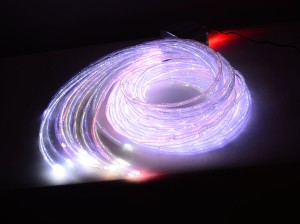 DSC_9416m1.jpg