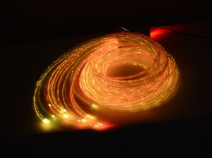 DSC_9426m.jpg