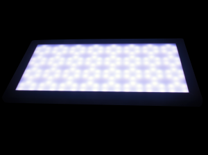 DSC_0888m.png