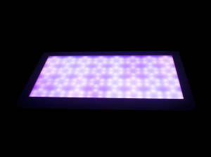 DSC_0889m.png