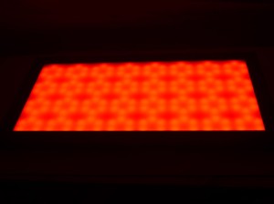 DSC_0890m.jpg