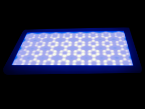DSC_0892M.png