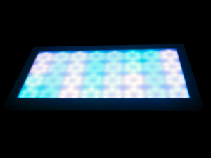 DSC_0893m.png